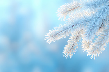 Similar image 22057550