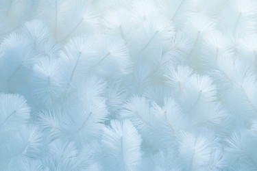 Similar image 22057551