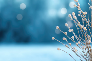 Similar image 22057553