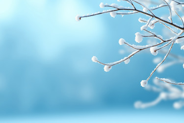 Similar image 22057559