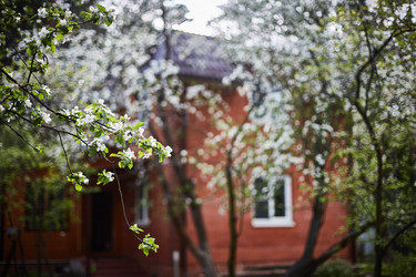 Similar image 22057621