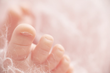 Similar image 22057624