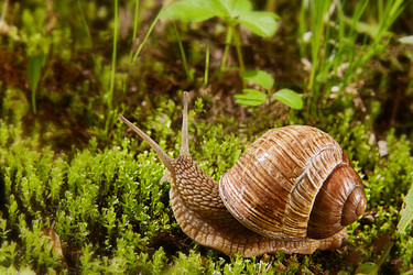 Similar image 22057630