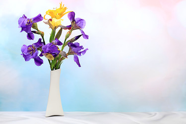 Similar image 22057403