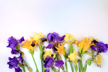 Similar image 22057406