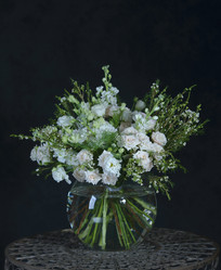 Similar image 22057874