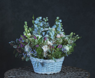 Similar image 22057879