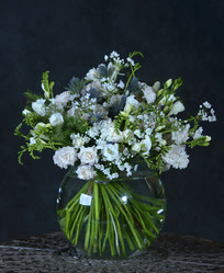 Similar image 22057887