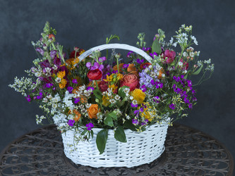 Similar image 22057902