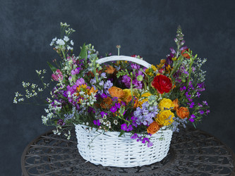 Similar image 22057904