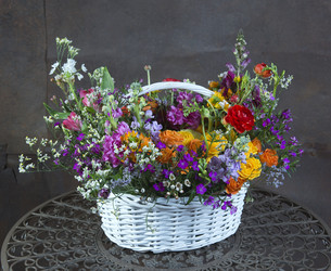 Similar image 22057918