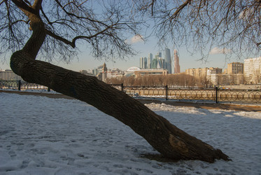 Similar image 22057409