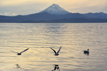 Similar image 22057411