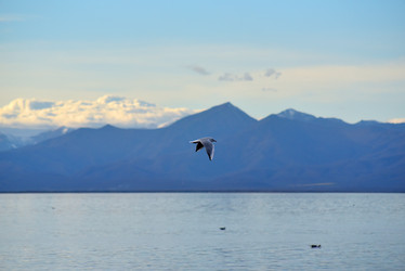 Similar image 22057412