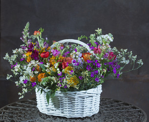 Similar image 22057922