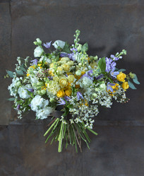 Similar image 22057938