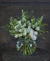 Similar image 22057949