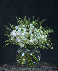 Similar image 22057951