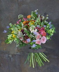 Similar image 22057971