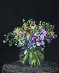 Similar image 22057987