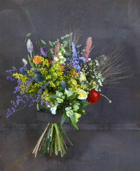 Similar image 22057989