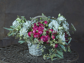 Similar image 22058001