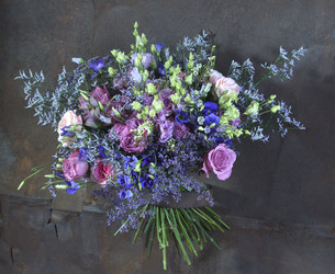 Similar image 22058009