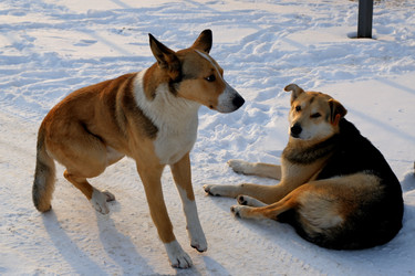 Similar image 22058380