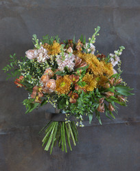 Similar image 22058021