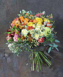 Similar image 22058023