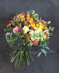 Similar image 22058024