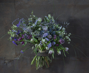 Similar image 22058035