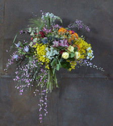 Similar image 22058053