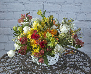 Similar image 22058055