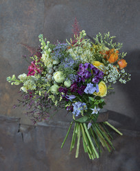 Similar image 22058063