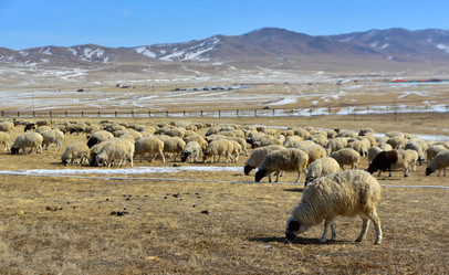 Similar image 22057689