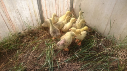 Similar image 22058383