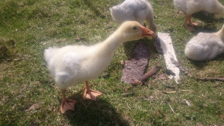 Similar image 22058384