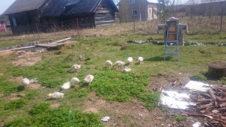 Similar image 22058385