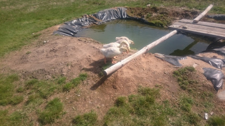 Similar image 22058386