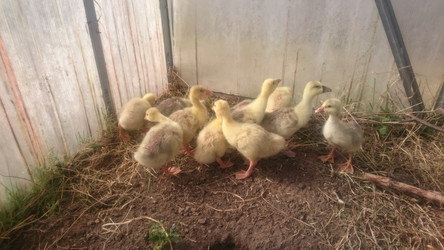 Similar image 22058387