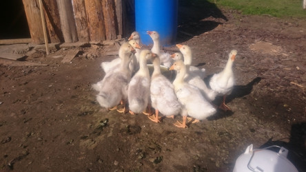 Similar image 22058388