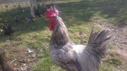 Similar image 22058389