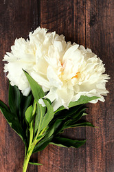 Similar image 22058394