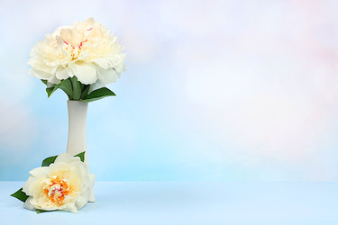 Similar image 22058396