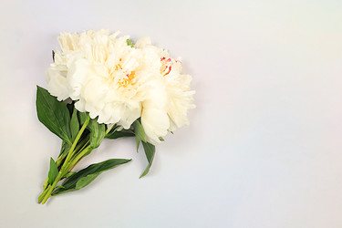 Similar image 22058397