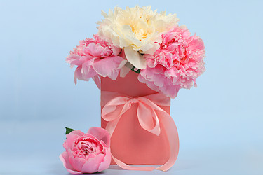 Similar image 22058398