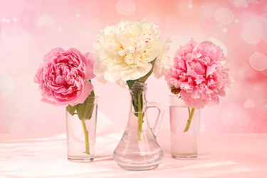 Similar image 22058400