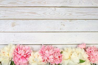 Similar image 22058401