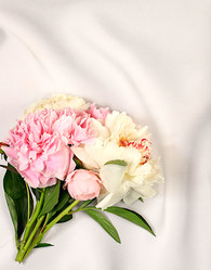 Similar image 22058402